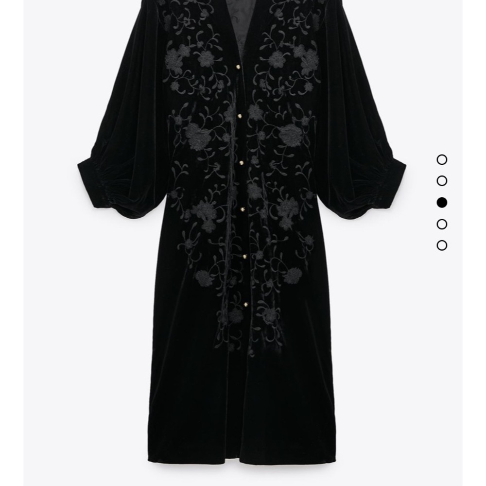 NWT Zara embroidered velvet kimono
